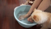29427  【黑丝诱惑】沐沐女主洗脚水裸足高跟踩踏