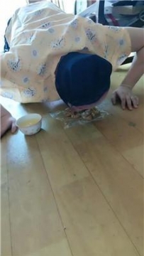 【调教视频】【桉】观看圈养奴吃狗粮喝圣水 JS240919-29