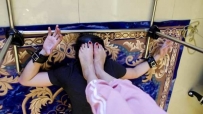 15252〖H.P.L栖心之栈〗—叒叕见血！尔岚暴力流放飞自我（下集）