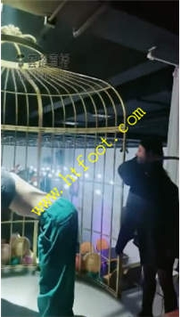 TL24497 小拽】酒吧刺激群调42分钟