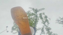 31747  【黑丝诱惑】室外公园踩花朵踩小蚂蚁