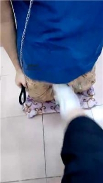 【调教视频】【奇了怪了】小白鞋白袜踢裆 JS240915-37